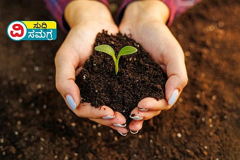 World Soil Day