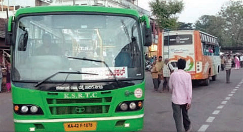 bus