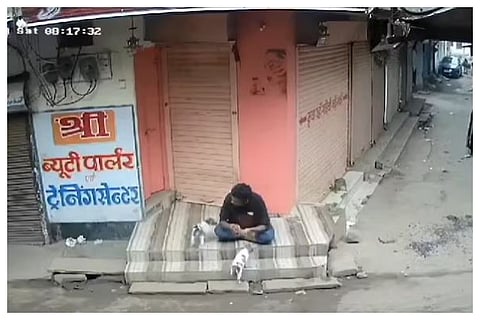 dog-1-1