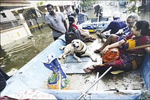 floods