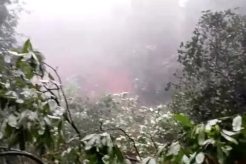 fog