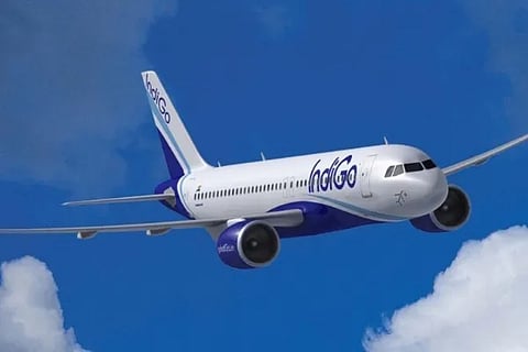 indigo1