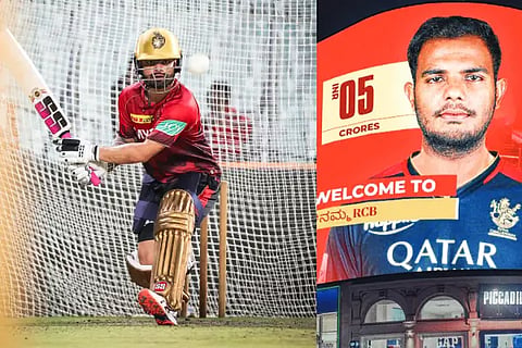 ipl rcb web