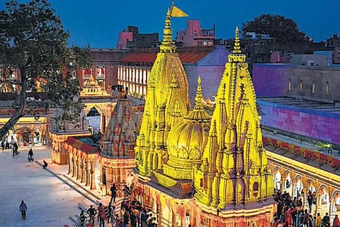kashi