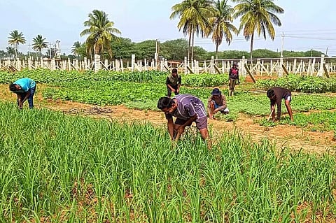 Agriculture
