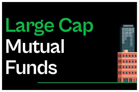 large-cap