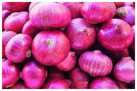 onion (1)