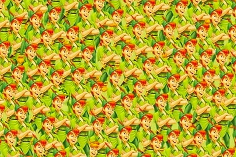 optical illusion can you spot a frog in this picture within seven seconds