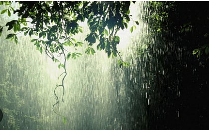 rain