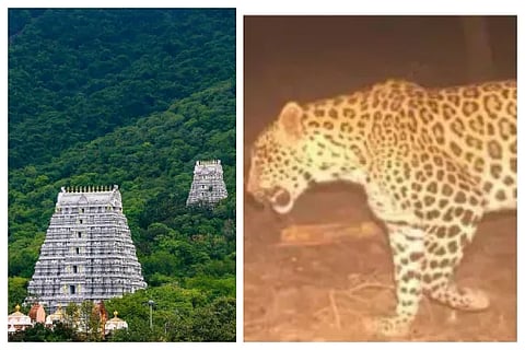 tirupathi