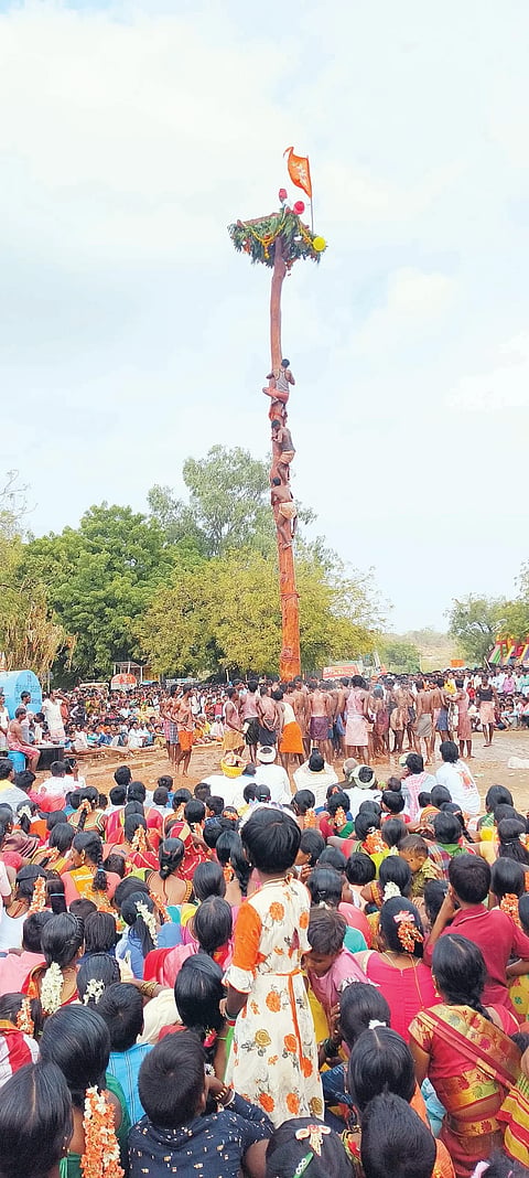 09 Arakera Photo 01