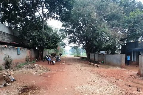 11 mdg