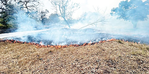 ಬೆಂಕಿಯಿಂದ ರಕ್ಷಿಸಲು ಇಲಾಖೆ ಸಜ್ಜು