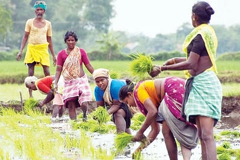 Aid to Farmer