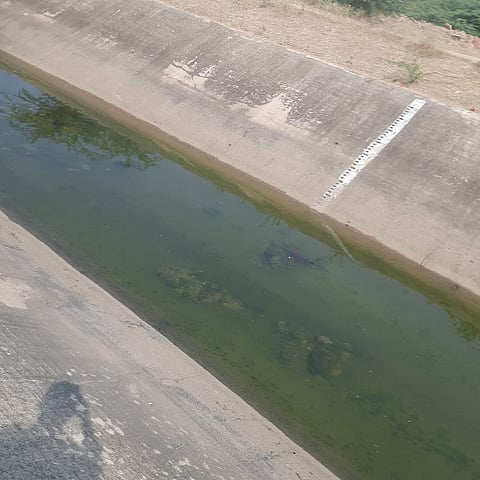 Canal