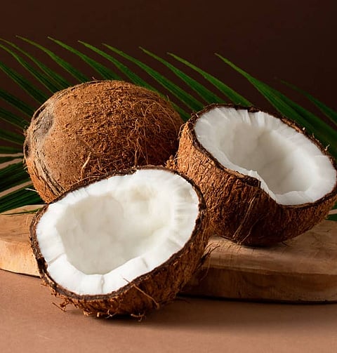 Coconut 5