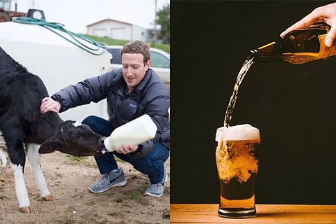 Cow-Killing Billionaire