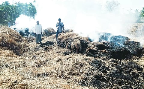 Crop Fire In Hanagal
