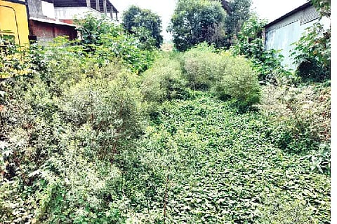 Durgadevi kaluve hirekerur