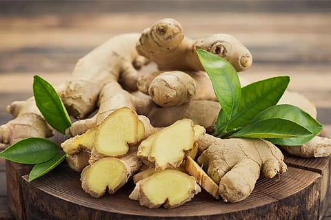 Ginger