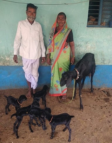 Hedgapur