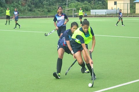 Hockey fever in the home of sports