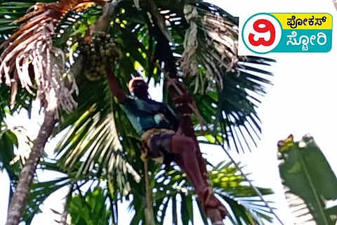 Worker doining konekoylu in Are ca Field