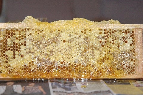 Kodagu honey farmers in trouble