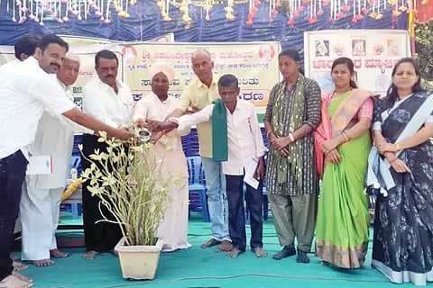 Let farmers follow traditional farming practices