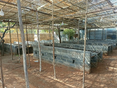Madali katti