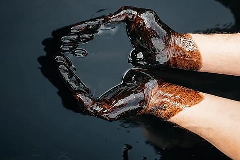 Oil