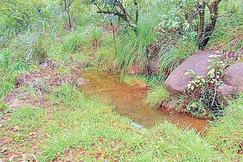 Ranipura Chilume