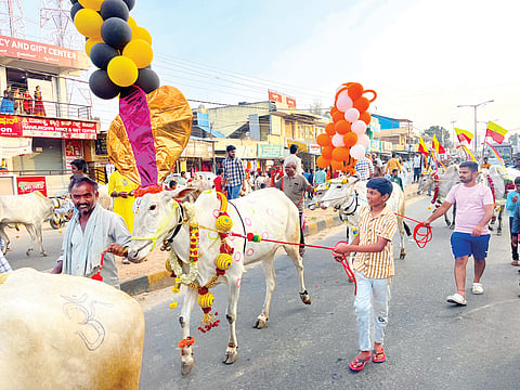 Rasu meravanige 1