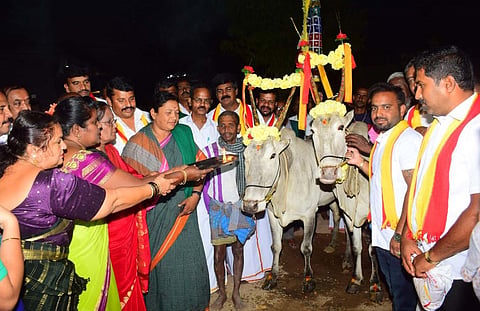 Sankranti celebration mandya