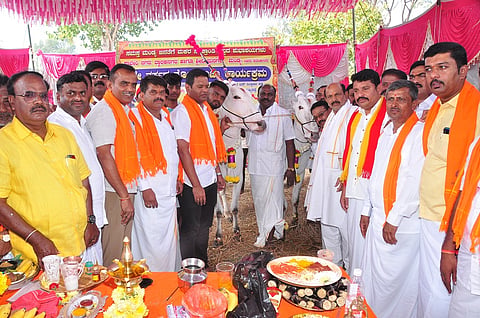 Sankranti festival mandya