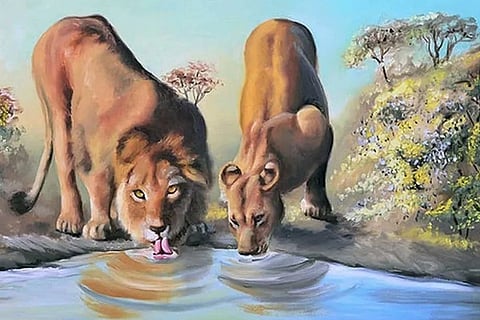 Spot the Lion 1