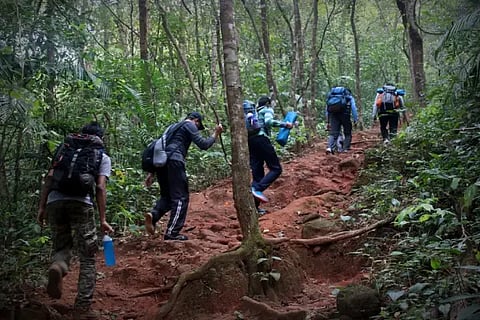Trekking