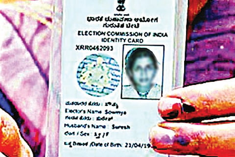 Voter
