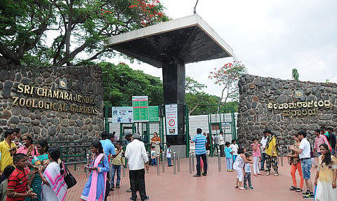 mysore