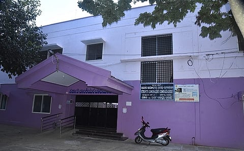 balamandira_WEB