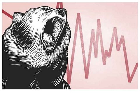 bear