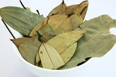 biryanileaves