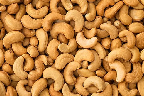 cashew nuts
