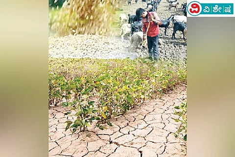 drought