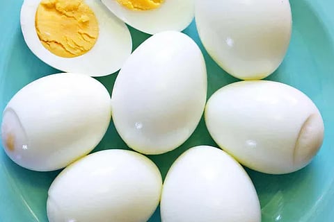 egg (1)