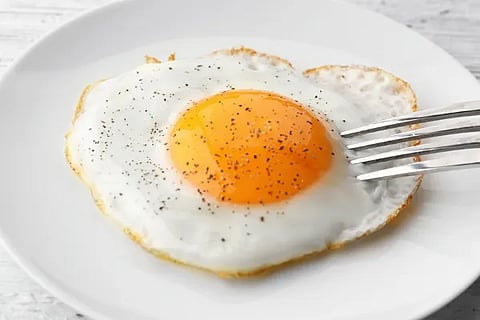 egg