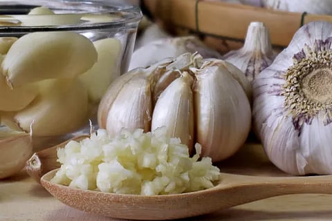 garlic