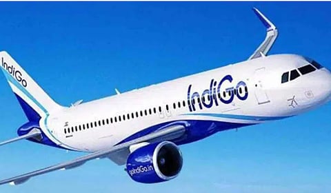 indigo