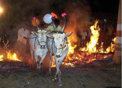 kichu hayisuvudu
