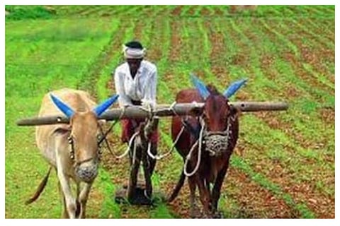 kisan